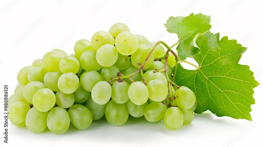 A Bunch of Green Grapes with a Leaf A Bunch of Green Grapes with a Leaf