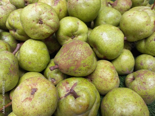 Photography The pear is a sweet-tasting pip fruit of which there are two thousand varieties