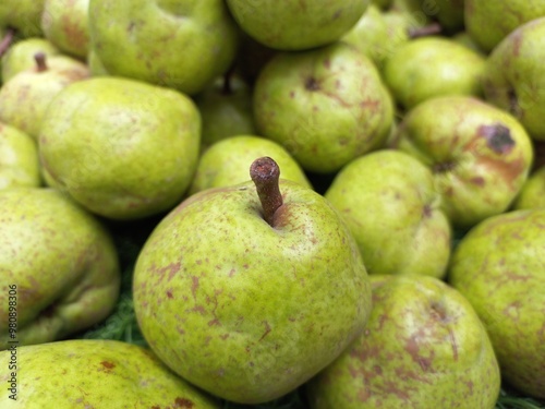 Photography The pear is a sweet-tasting pip fruit of which there are two thousand varieties