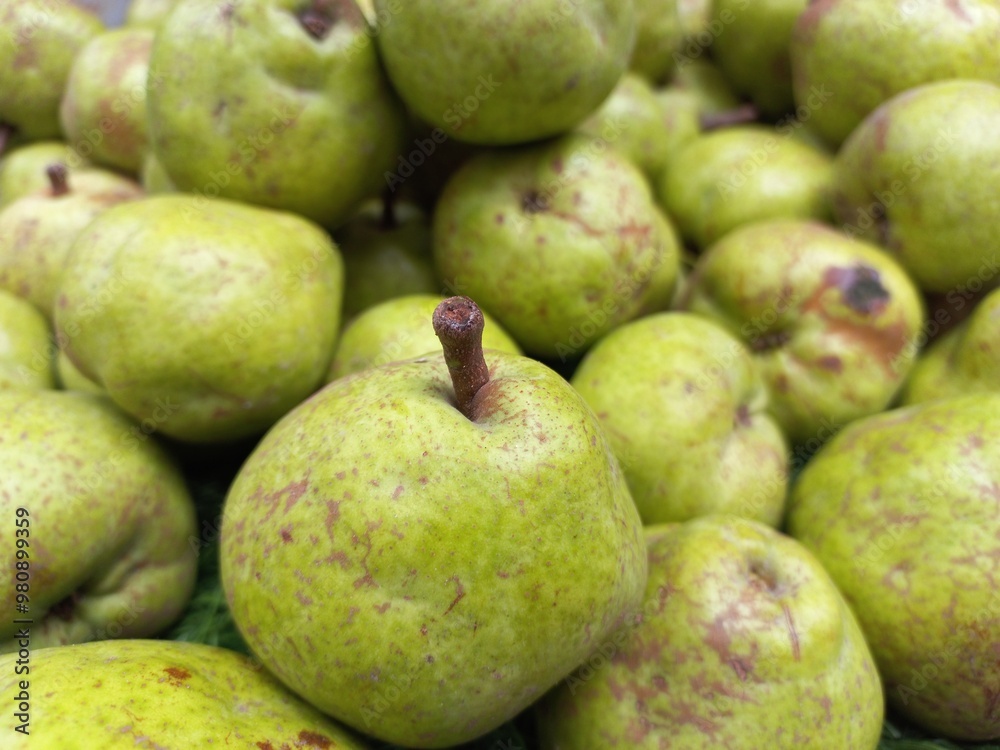 The pear is a sweet-tasting pip fruit of which there are two thousand varieties india,Sweet gree fresh Pear pic The pear is a sweet-tasting pip fruit of which there are two thousand varieties india,Sweet gree fresh Pear pic