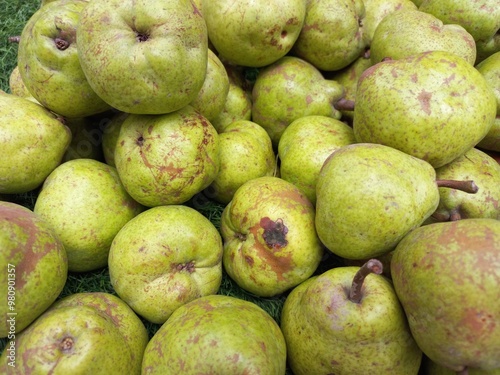 Photography The pear is a sweet-tasting pip fruit of which there are two thousand varieties