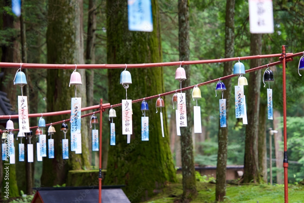 Fototapeta premium Wind bell at Nikko Futarasan Shrine