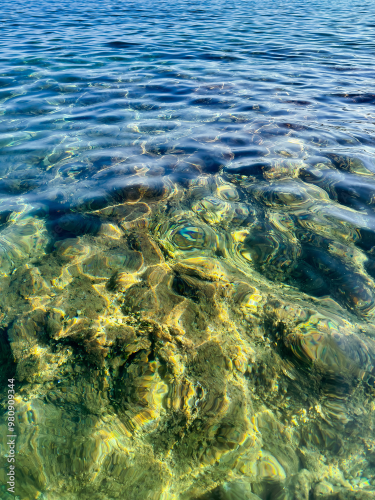 Obraz premium pebble bottom with large stones and seaweed through calm crystal clear transparent sea water.