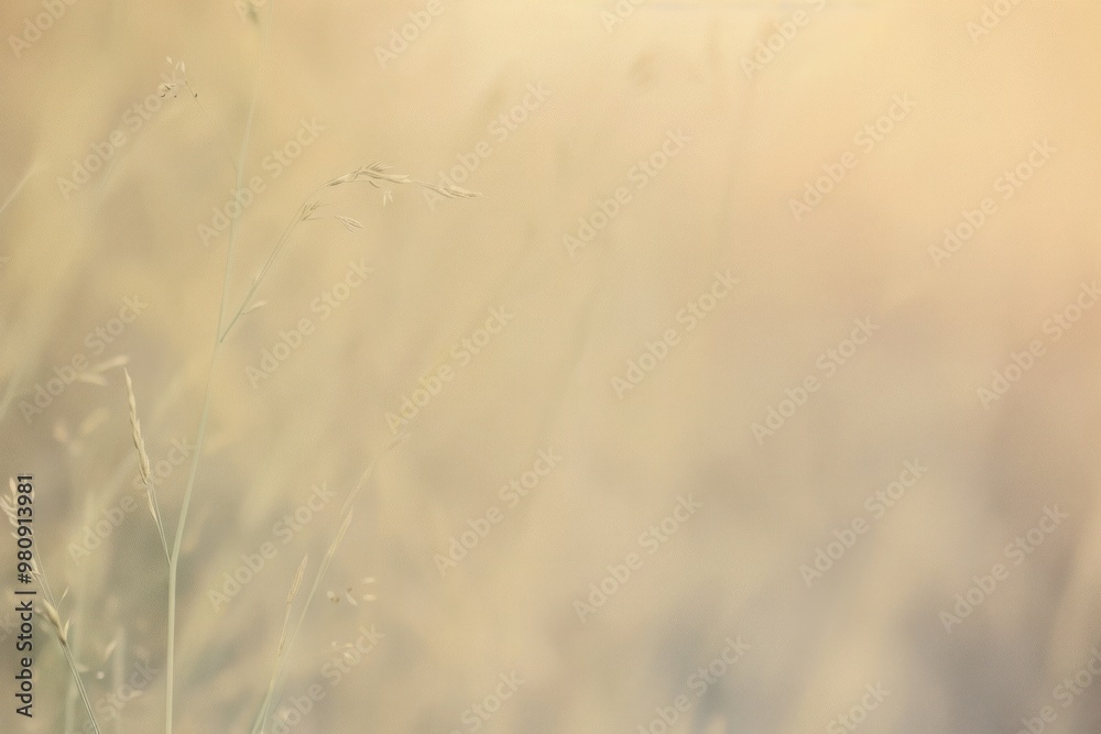 Obraz premium Wildflower outdoors weather blossom.