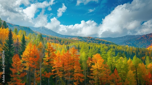 The fall season's diverse colors and textures create stunning landscapes