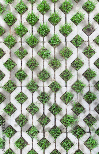 Eco-friendly paving tiles. Parking with a waterproof coating.   