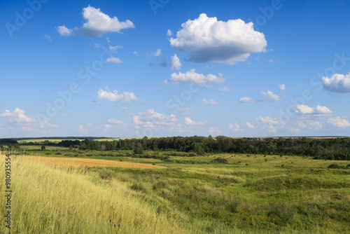 a green meadow and hills under an open blue sky with clouds.