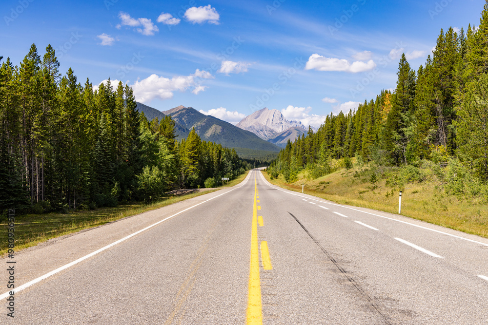 Fototapeta premium Scenic Alberta Highway Through Lush Forest and Majestic Mountains Under Clear Blue Sky