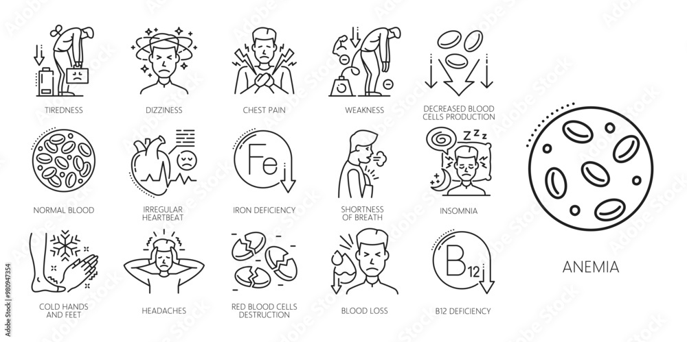 Hematology line icons. Anemia symptoms, physical disease vector outline signs of blood cells, iron deficiency, anaemia laboratory test. Dizziness, chest and heart pain, insomnia and headache symptoms Hematology line icons. Anemia symptoms, physical disease vector outline signs of blood cells, iron deficiency, anaemia laboratory test. Dizziness, chest and heart pain, insomnia and headache symptoms