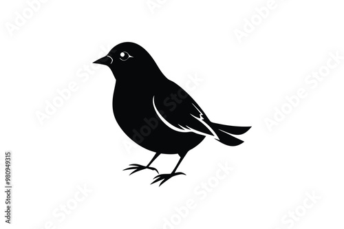 Cute Myna Bird vector art and illustration