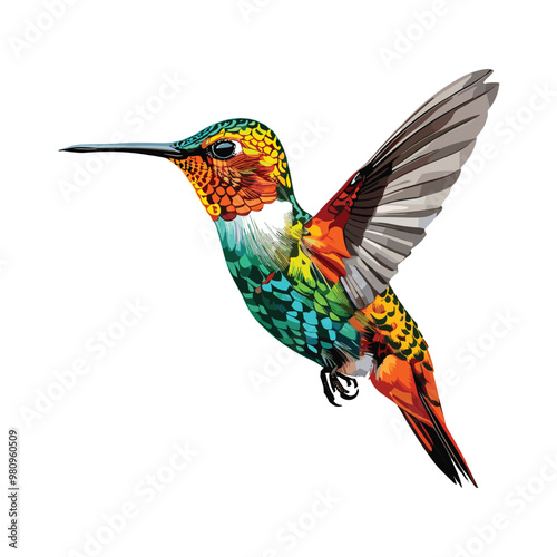 Vector image illustration of a hummingbird