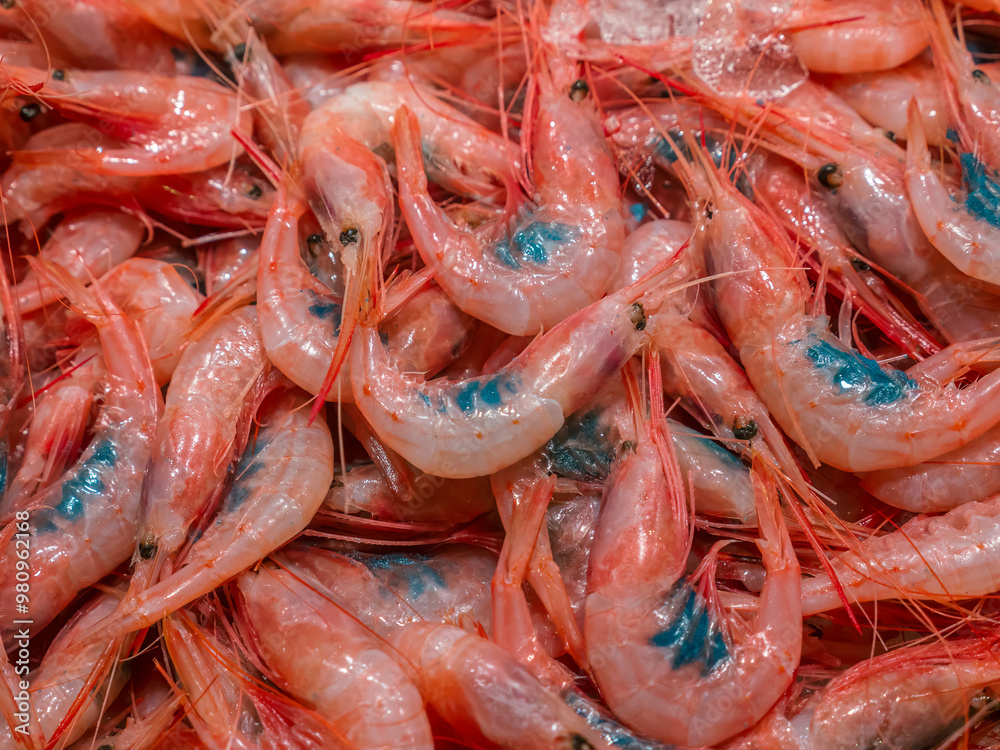 Local food market with fresh shrips, Murci, Spain Local food market with fresh shrips, Murci, Spain