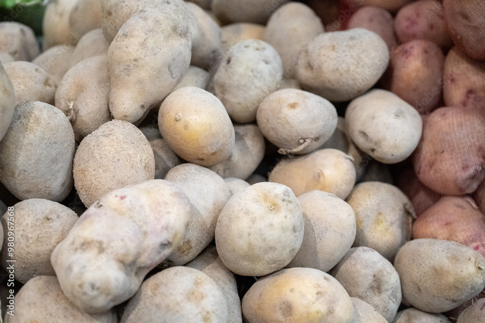 A close-up image of freshly harvested potatoes showcasing their natural texture and earthy tones. Ideal for use in agricultural content, food-related projects, or farm-to-table promotions. A close-up image of freshly harvested potatoes showcasing their natural texture and earthy tones. Ideal for use in agricultural content, food-related projects, or farm-to-table promotions.