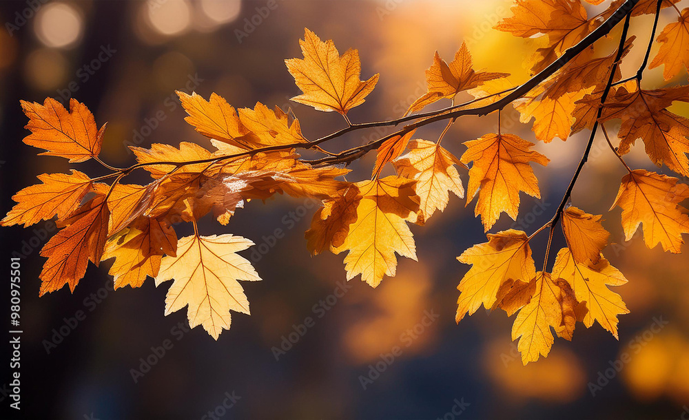 Autumn tree leaves on the branch Tree branch Autumn tree leaves on the branch Tree branch