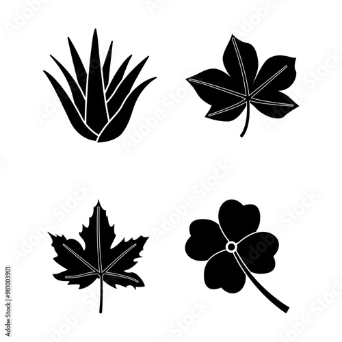 collection de 4 silhouettes de feuilles