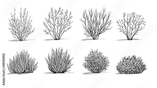 Set of vector bush illustrations on a white background. Architectural Drawings, Minimal style cad bush drawing, Side view, set of graphics bushes elements outline symbol for landscape design drawing