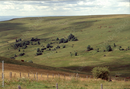 Lush Rolling Hills Under a Cloudy Sky photo