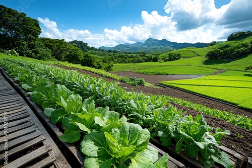 A serene view of a small-scale agriculture farm, with lush greenery and fresh produce growing in harmony photo