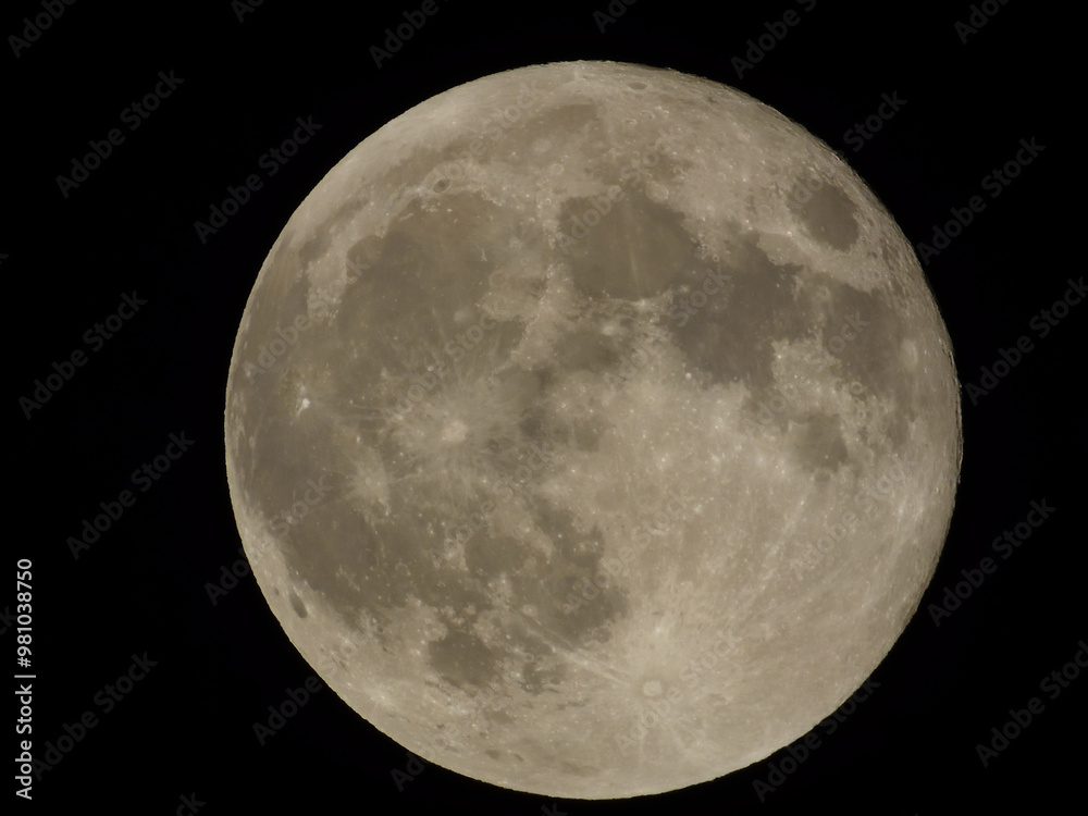 Obraz premium 満月
