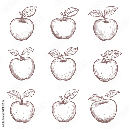 Apple fruit clipart design illustration