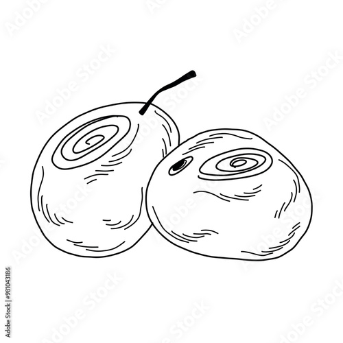 Two juicy plums lying next to each other, monochrome doodle line illustration