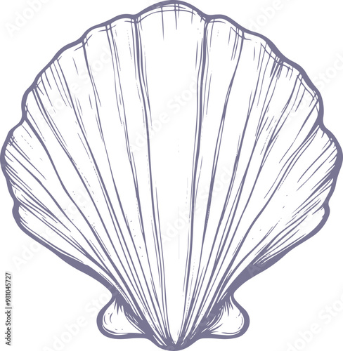 Sea shell clipart design illustration