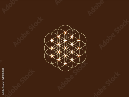 sacred geometry: flower of life 