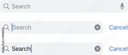 Search Field, State, Placeholder, Focused, Typing, magnifying, cross, close, Type. Search bar boxes set. Web UI elements for browsers with text field and button for UI.