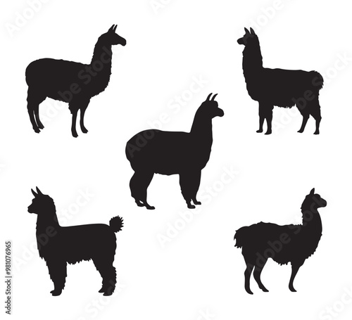 Llama and Alpaca silhouette set