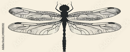 Fantasy dragonfly silhouette, Vector flat minimalistic isolated illustration -