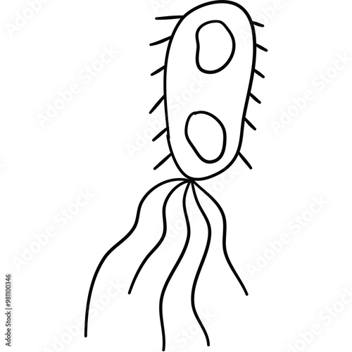 Microbe and Bacteria Hand Drawn