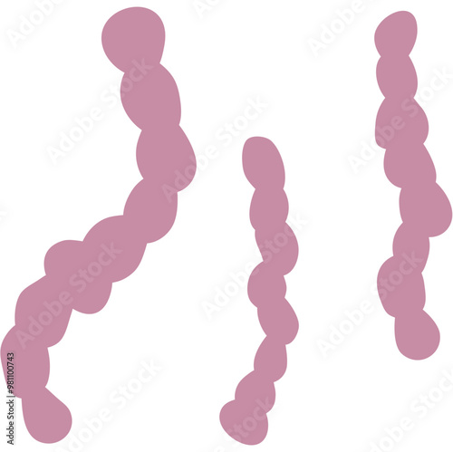 Streptococcus Pneumonia Bacteria