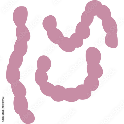 Streptococcus Pneumonia Bacteria