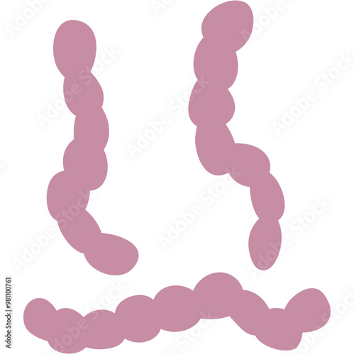 Streptococcus Pneumonia Bacteria