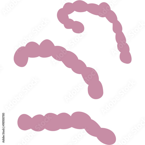 Streptococcus Pneumonia Bacteria