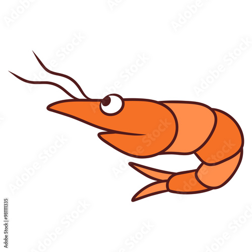 shrimp cartoon illustration 