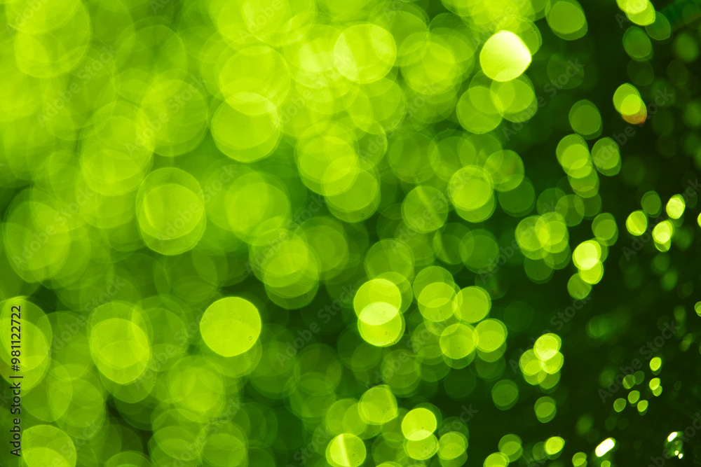 green blur background for Christmas card green blur background for Christmas card