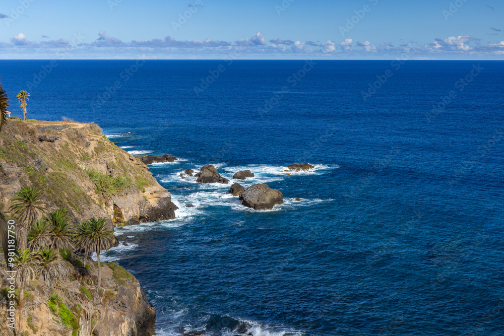 Fototapeta premium Playa de Castro, tall palm trees, banana trees, black volcanic sand, landscape of the coast of Tenerife,