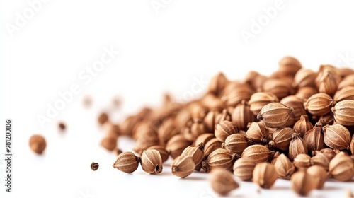 Close-up shot of coriander seeds on a white background. Perfect for food and spice related projects in high resolution.