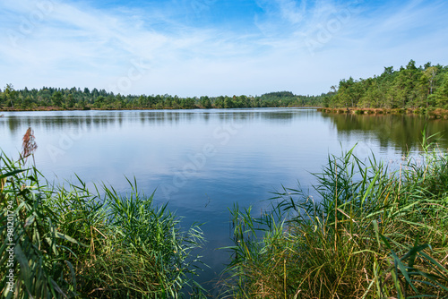 The Bog Lake In The Schoenramer Filz