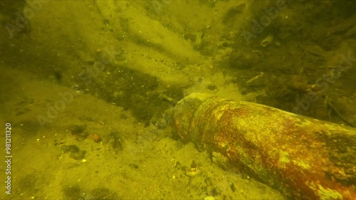 Grenade in the Tollense River - Underwater footage shows the discovery of an ancient shell in a river, discovered during an archaeological dig. It's defused.