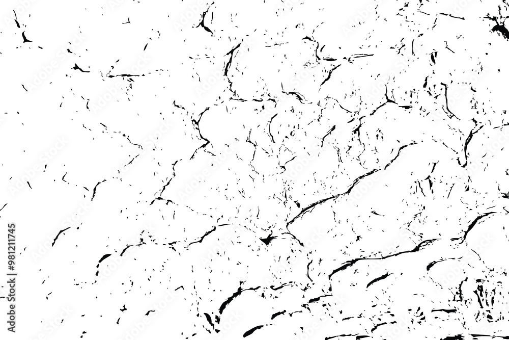 Trace of tree wood texture bark. Black white wooden background surface with natural pattern. Vector plank wood texture. Trace of tree wood texture bark. Black white wooden background surface with natural pattern. Vector plank wood texture.