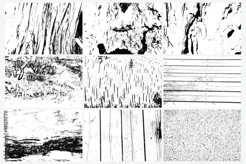 White black wood texture vector trace set. Old wood texture flat surface set. Real wooden surface background bark set. Top view plank.