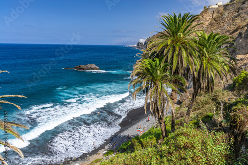 Playa de Castro, tall palm trees, banana trees, black volcanic sand, landscape of the coast of Tenerife,