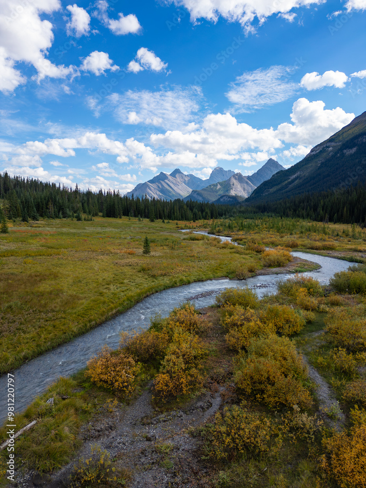 Obraz premium Scenic View of Serene Landscape in the Canadian Rockies with Majestic Mountains and Flowing River