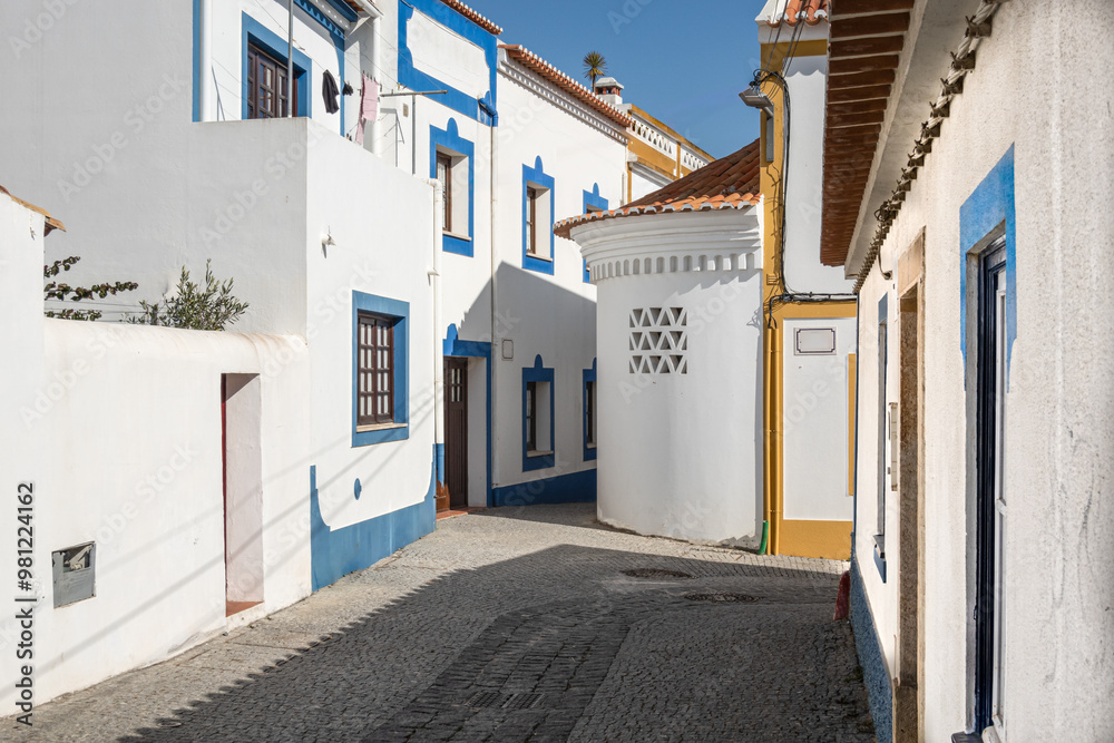 Fototapeta premium Street level close-up of traditional houses in Portugal