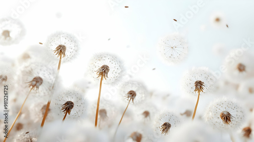 3D Soft Focus White Dandelion Seeds Close-Up: Blurred Edges Symbolizing Letting Go for Janeiro Branco - Ready to Float Away