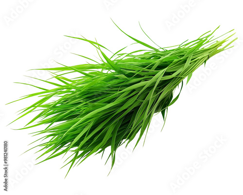 Green grass Isolated on Transparent Background photo