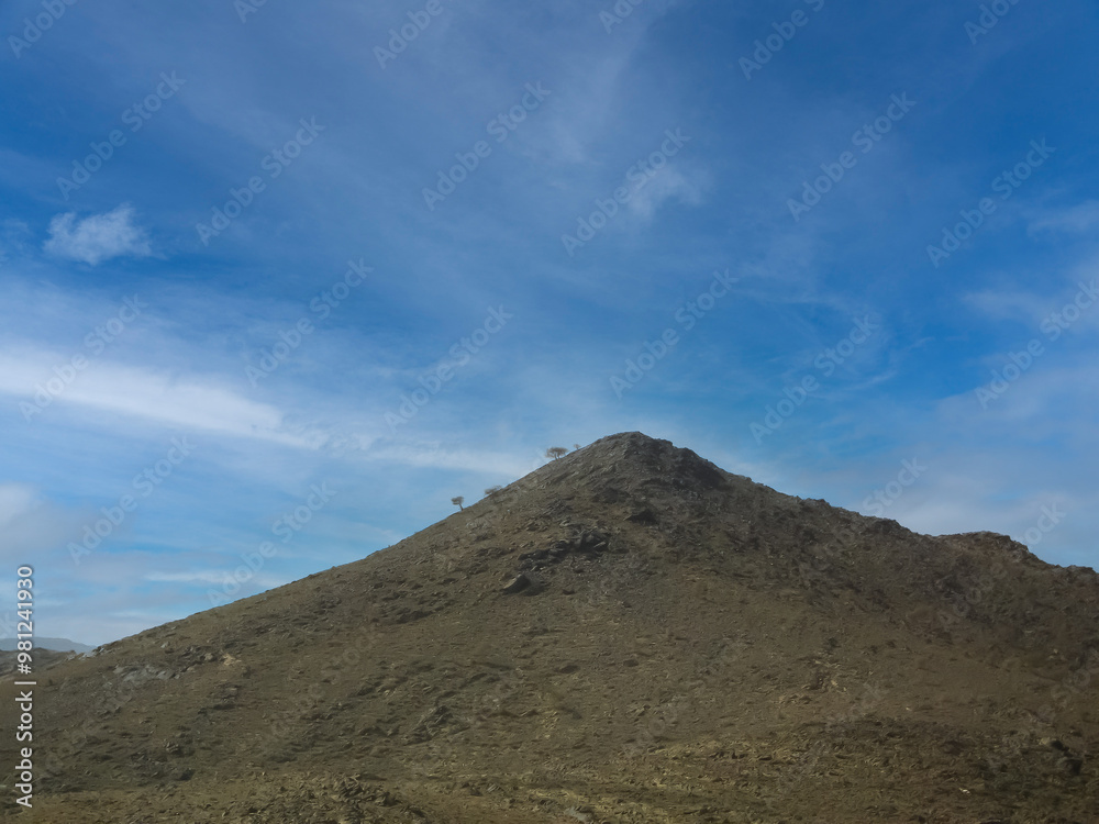 mountain and tiny trees
mountain and tiny trees