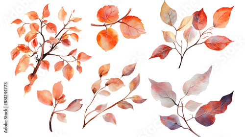 PNG watercolor Autumn branch element set, transparent background